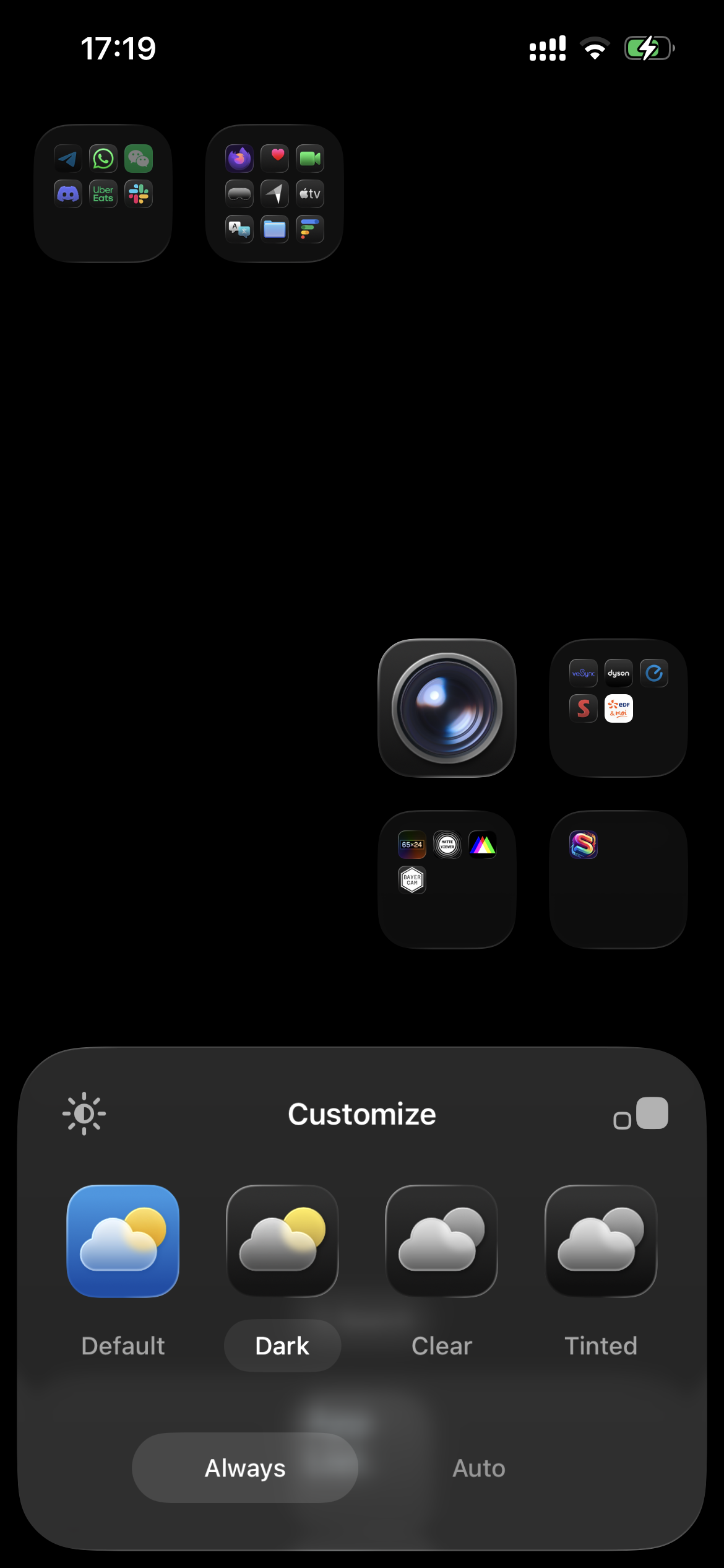 iOS Home Screen customization settings